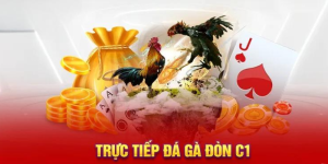 Top 3 Kinh Nghiệm Đá Gà C1 AE888 Đạt Tỷ Lệ Thắng 90%